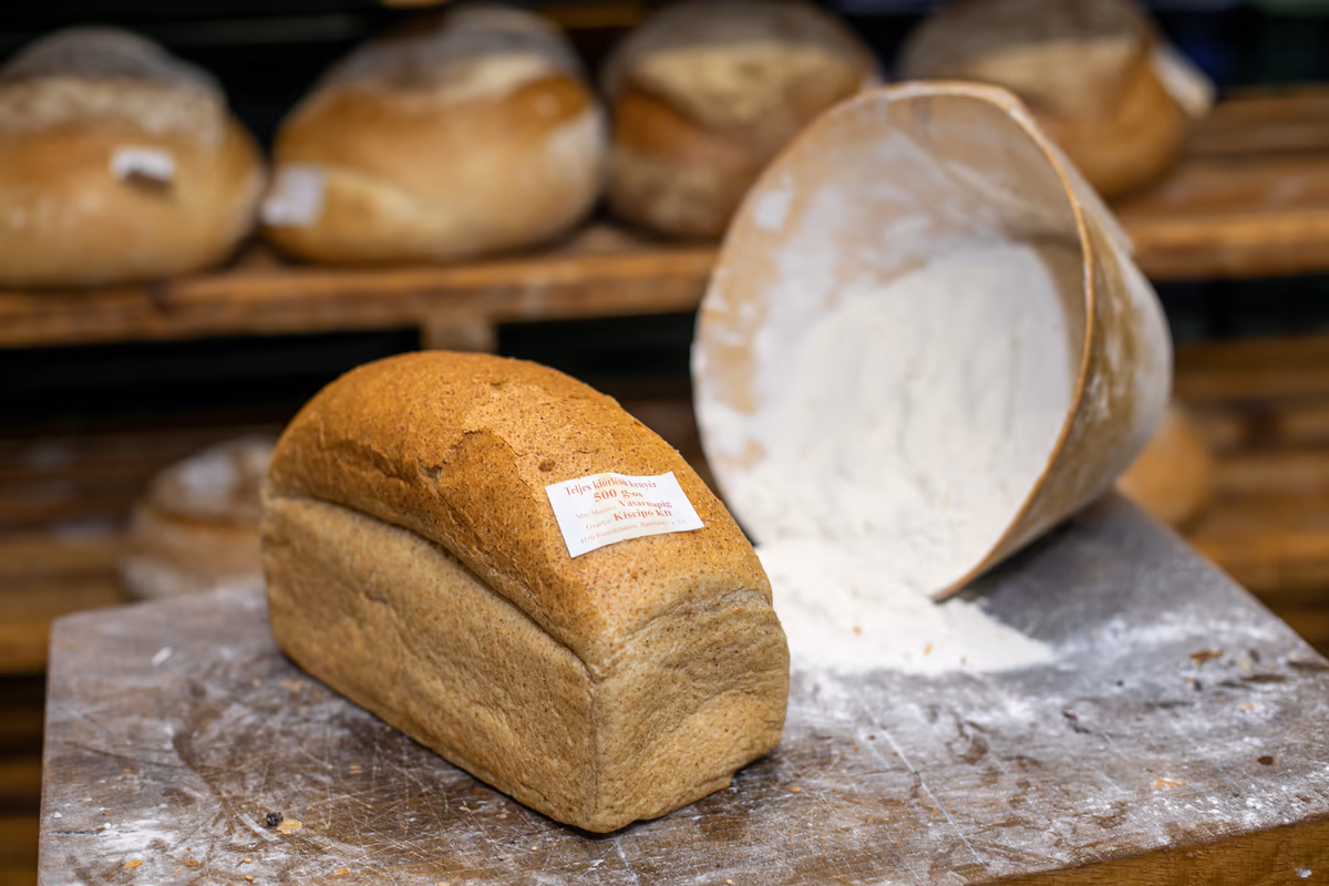 Teljes kiörlésű toast kenyér