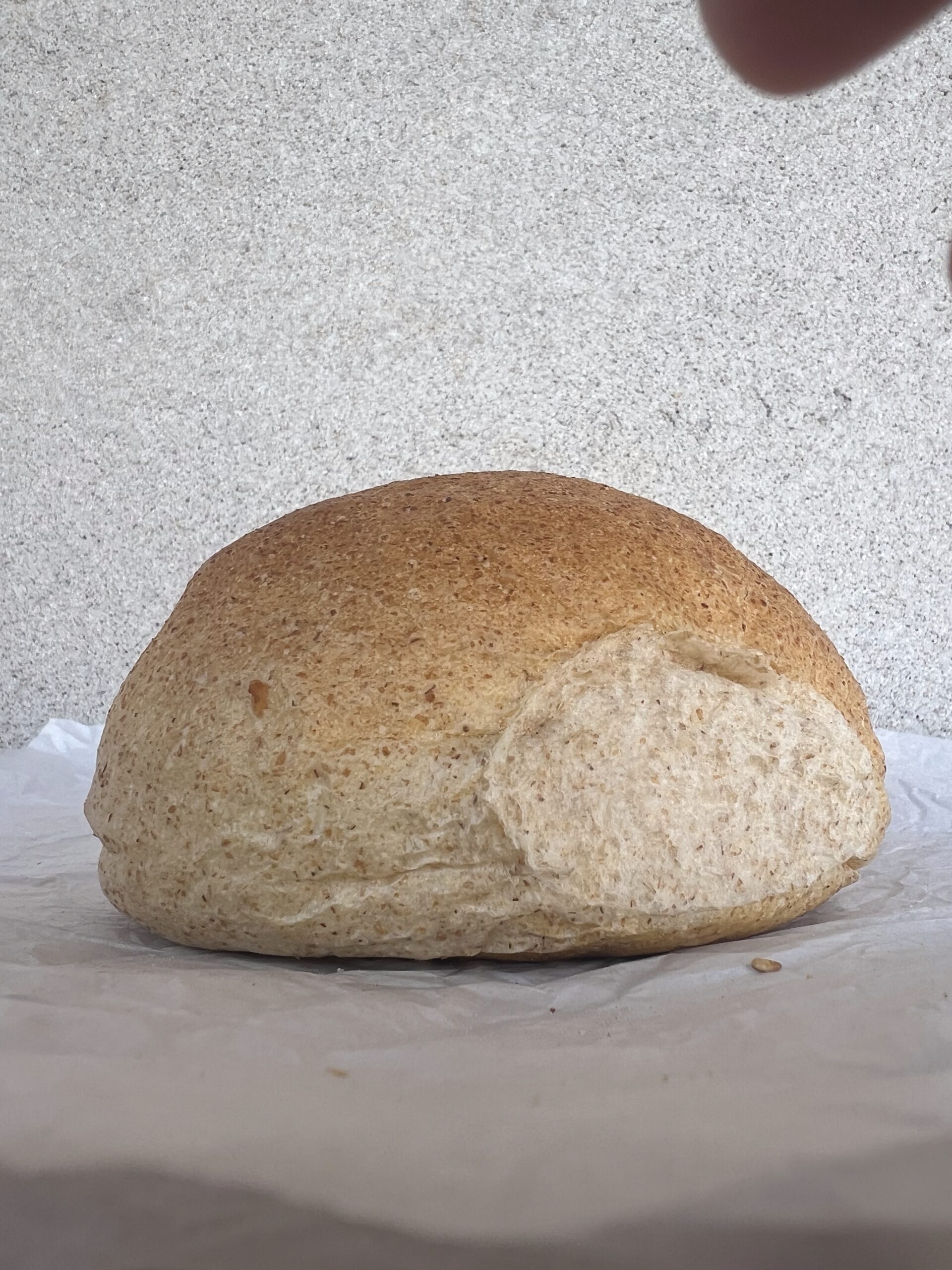 Teljes kiörlésű zsemle